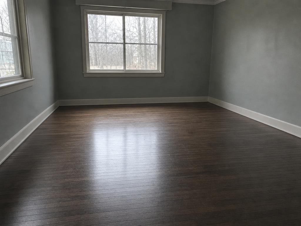 The same living room completely cleared out, swept clean and macro mist sprayed